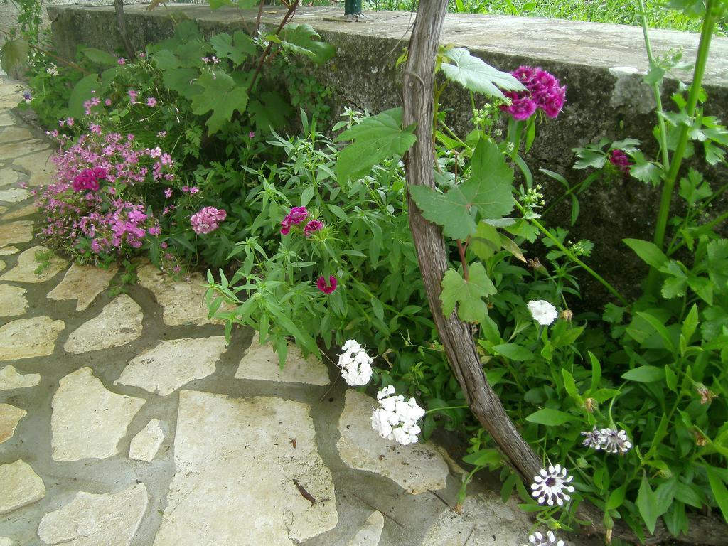 Holiday Home Lorraina Štivan Esterno foto